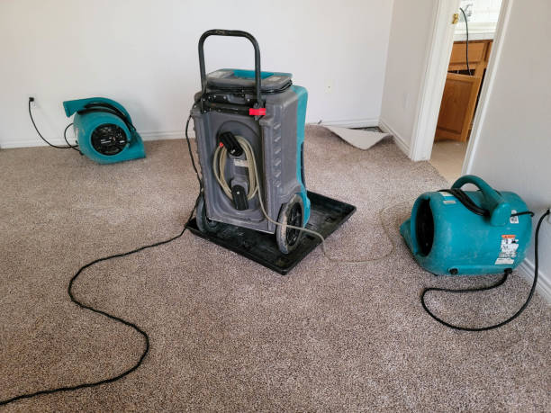 Professional Water damage restoration in Decordova, TX