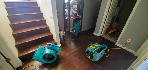 Best Residential water damage restoration  in Decordova, TX