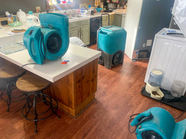 Best Sewage cleanup and water damage restoration  in Decordova, TX