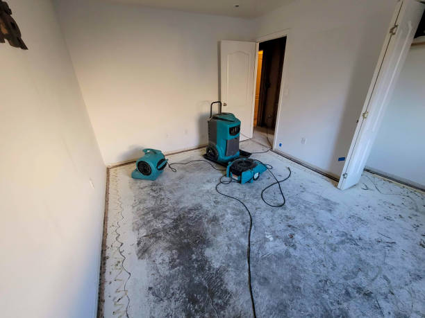 Best Sewage cleanup and water damage restoration  in Decordova, TX