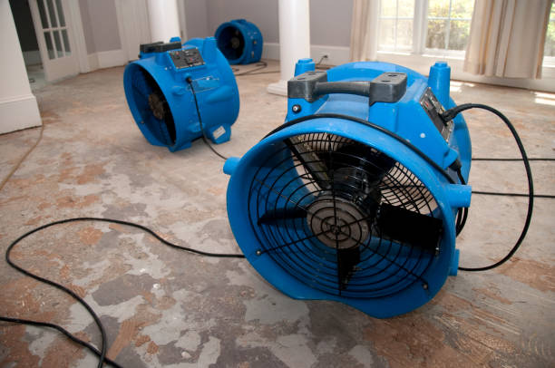 Sewage cleanup and water damage restoration in Decordova, TX