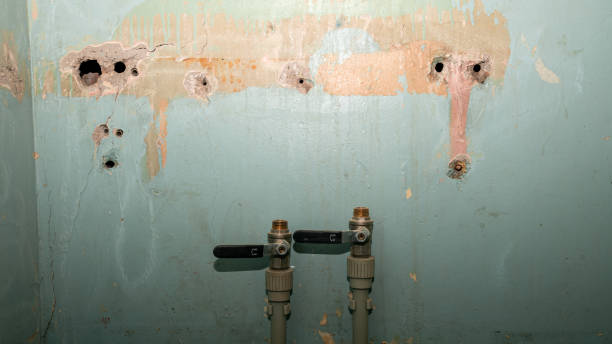 Best Fire Damage Restoration  in Decordova, TX