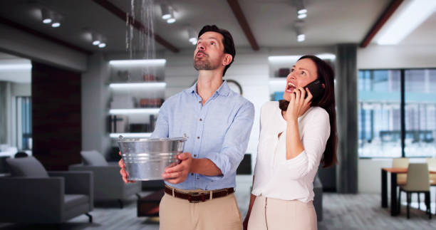 Best Local water damage restoration  in Decordova, TX