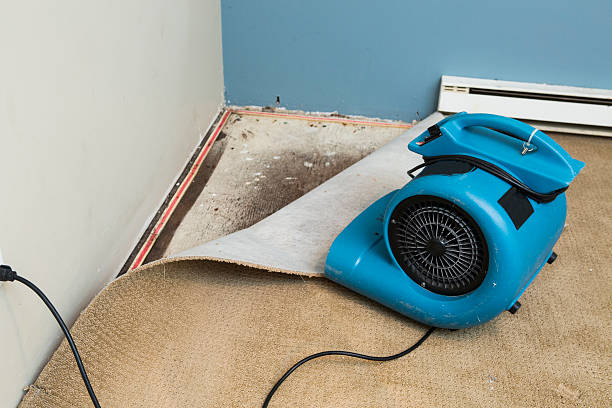 Best Flood restoration services  in Decordova, TX